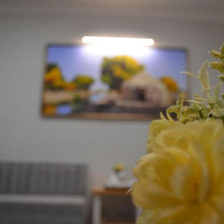 Hostel Danexan Apa نكوص المظهر الخارجي الصورة